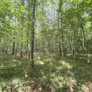 Photo #21 of Off Tar River Rd, Oxford, NC 14.7 acres