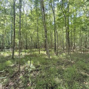 Photo #23 of Off Tar River Rd, Oxford, NC 14.7 acres