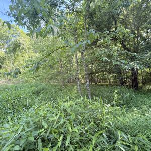 Photo #24 of Off Tar River Rd, Oxford, NC 14.7 acres