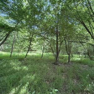 Photo #25 of Off Tar River Rd, Oxford, NC 14.7 acres