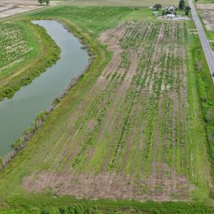 Photo #1 of 1220 Virginia Road, Lot 1, Edenton, NC 4.0 acres