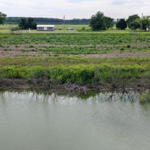 Photo #32 of 1220 Virginia Road, Lot 1, Edenton, NC 4.0 acres