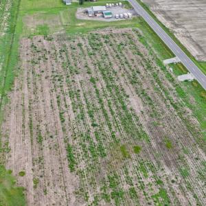 Photo #7 of 1200 Virginia Road, Lot 4, Edenton, NC 3.7 acres