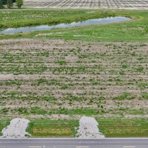 Photo #12 of 1200 Virginia Road, Lot 4, Edenton, NC 3.7 acres