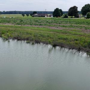 Photo #24 of 1200 Virginia Road, Lot 4, Edenton, NC 3.7 acres