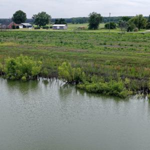 Photo #27 of 1200 Virginia Road, Lot 4, Edenton, NC 3.7 acres