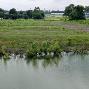 Photo #29 of 1200 Virginia Road, Lot 4, Edenton, NC 3.7 acres