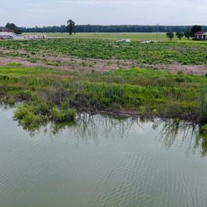 Photo #31 of 1200 Virginia Road, Lot 4, Edenton, NC 3.7 acres