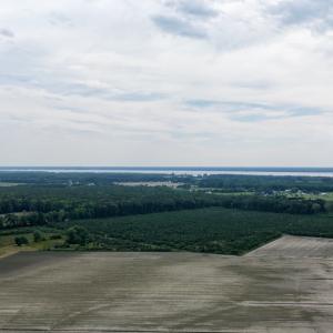 Photo #14 of 1200 Virginia Road, Lot 4, Edenton, NC 3.7 acres