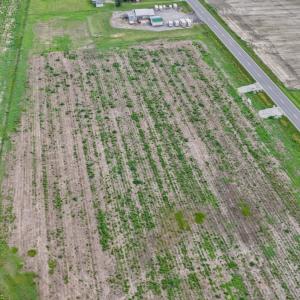 Photo #7 of 1206 Virginia Road, Lot 3, Edenton, NC 2.6 acres