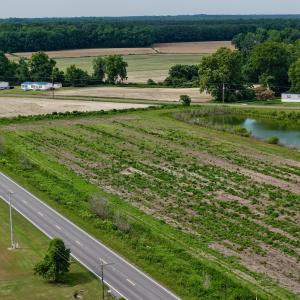 Photo #20 of 1206 Virginia Road, Lot 3, Edenton, NC 2.6 acres