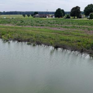 Photo #24 of 1206 Virginia Road, Lot 3, Edenton, NC 2.6 acres
