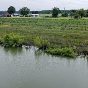 Photo #27 of 1206 Virginia Road, Lot 3, Edenton, NC 2.6 acres
