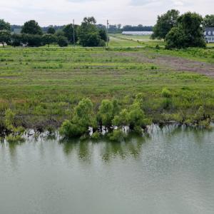 Photo #29 of 1206 Virginia Road, Lot 3, Edenton, NC 2.6 acres