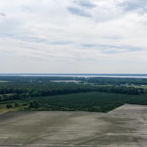 Photo #14 of 1206 Virginia Road, Lot 3, Edenton, NC 2.6 acres