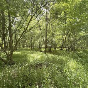 Photo #10 of Off Tar River Rd, Oxford, NC 14.7 acres
