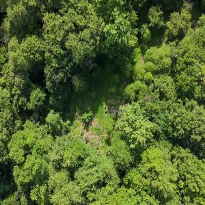 Photo #11 of Off Tar River Rd, Oxford, NC 14.7 acres