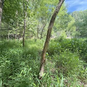 Photo #13 of Off Tar River Rd, Oxford, NC 14.7 acres