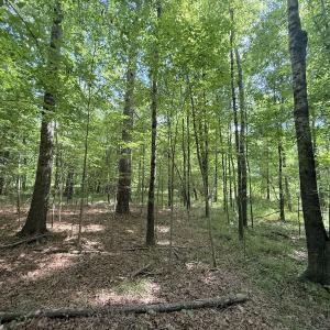 Photo #6 of Off Tar River Rd, Oxford, NC 14.7 acres