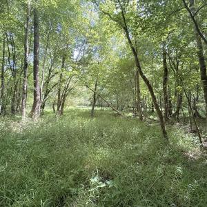 Photo #7 of Off Tar River Rd, Oxford, NC 14.7 acres