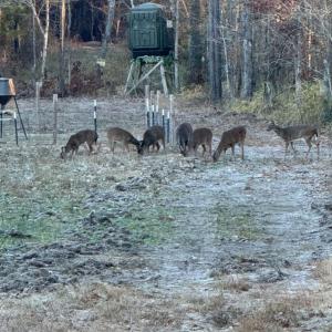 Photo #12 of Off Indian Woods Road, Windsor, NC 17.6 acres