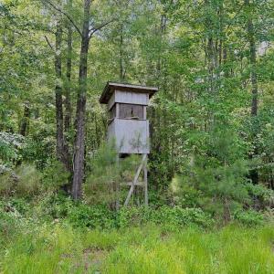 Photo #11 of Off Indian Woods Road, Windsor, NC 17.6 acres