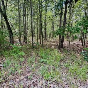 Photo #13 of Off Indian Woods Road, Windsor, NC 17.6 acres