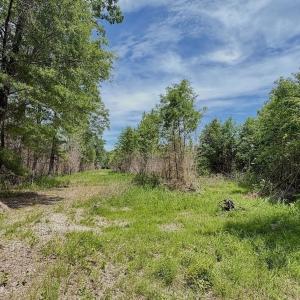 Photo #15 of Off Indian Woods Road, Windsor, NC 17.6 acres