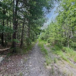 Photo #5 of Off Indian Woods Road, Windsor, NC 17.6 acres