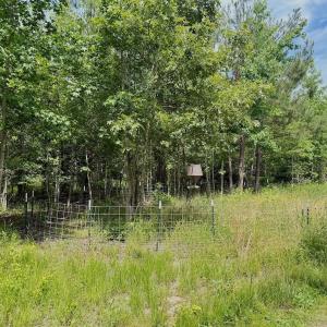 Photo #6 of Off Indian Woods Road, Windsor, NC 17.6 acres