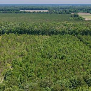 Photo #7 of Off Indian Woods Road, Windsor, NC 17.6 acres