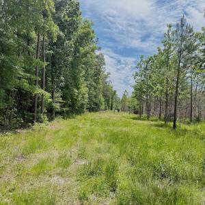 Photo #9 of Off Indian Woods Road, Windsor, NC 17.6 acres