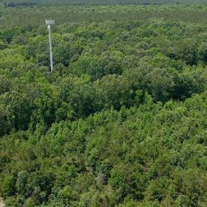Photo #37 of Off Indian Woods Road, Windsor, NC 17.6 acres