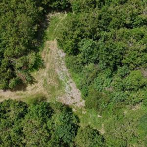 Photo #39 of Off Indian Woods Road, Windsor, NC 17.6 acres