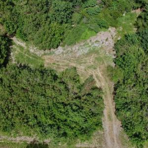 Photo #40 of Off Indian Woods Road, Windsor, NC 17.6 acres