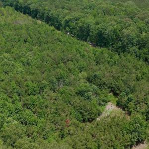 Photo #34 of Off Indian Woods Road, Windsor, NC 17.6 acres