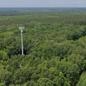 Photo #36 of Off Indian Woods Road, Windsor, NC 17.6 acres