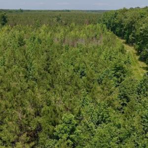 Photo #41 of Off Indian Woods Road, Windsor, NC 17.6 acres