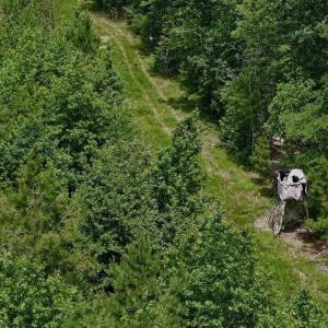 Photo #42 of Off Indian Woods Road, Windsor, NC 17.6 acres