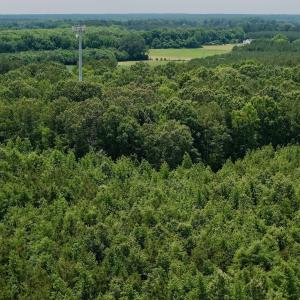 Photo #44 of Off Indian Woods Road, Windsor, NC 17.6 acres