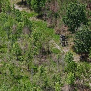 Photo #45 of Off Indian Woods Road, Windsor, NC 17.6 acres