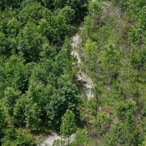 Photo #46 of Off Indian Woods Road, Windsor, NC 17.6 acres