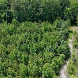 Photo #48 of Off Indian Woods Road, Windsor, NC 17.6 acres