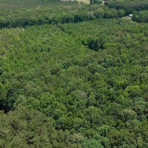 Photo #49 of Off Indian Woods Road, Windsor, NC 17.6 acres