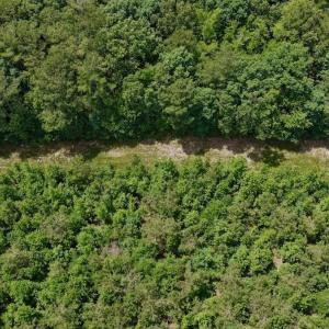 Photo #51 of Off Indian Woods Road, Windsor, NC 17.6 acres