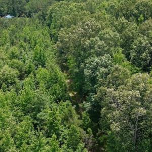 Photo #52 of Off Indian Woods Road, Windsor, NC 17.6 acres