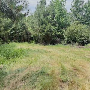 Photo #56 of Off Indian Woods Road, Windsor, NC 17.6 acres
