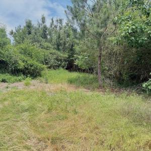 Photo #57 of Off Indian Woods Road, Windsor, NC 17.6 acres