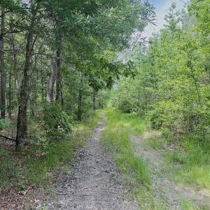 Photo #58 of Off Indian Woods Road, Windsor, NC 17.6 acres
