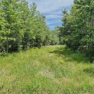 Photo #60 of Off Indian Woods Road, Windsor, NC 17.6 acres